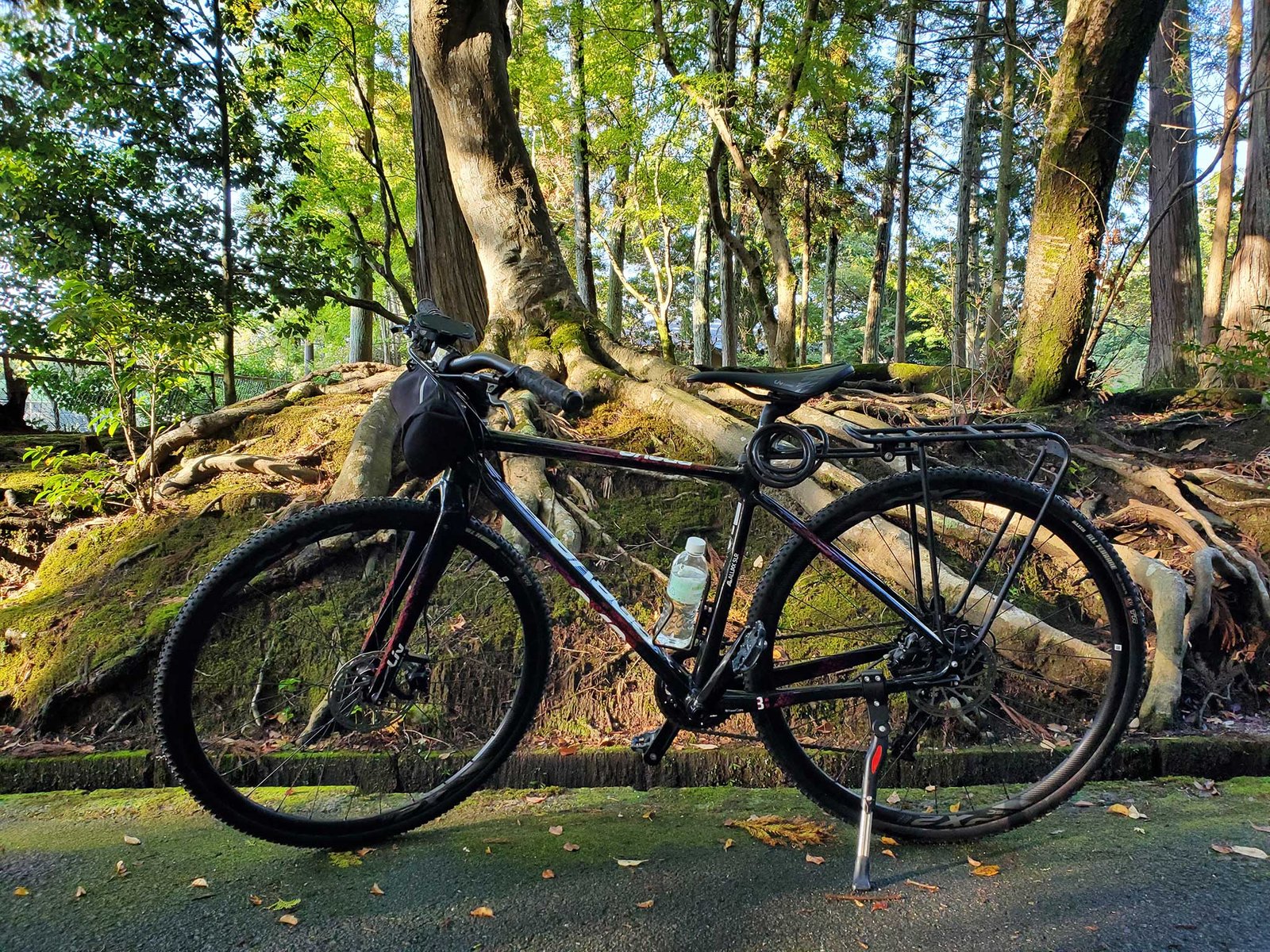 WhyHaikuBike_v2
