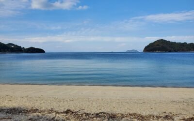 Ferry Across the Seto Naikai
